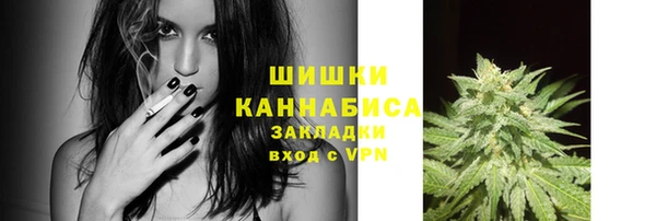 сатива Бугульма