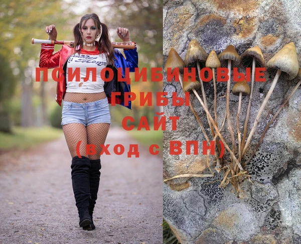 стафф Бронницы