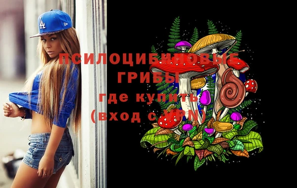a pvp Богородицк
