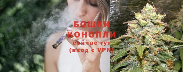 apvp Богородск