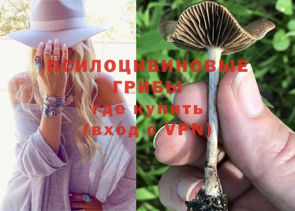 сатива Бугульма